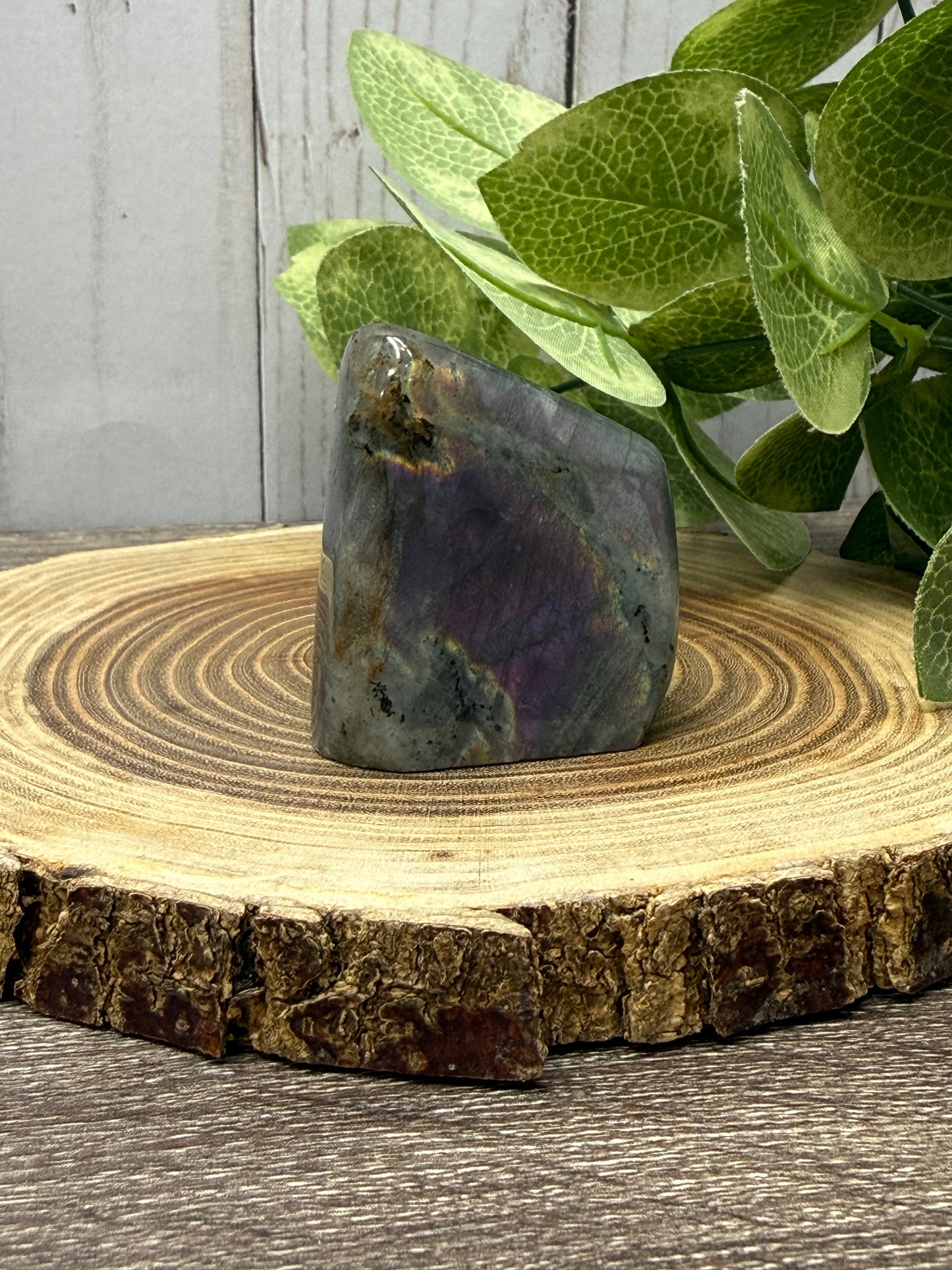 Labradorite Freeforms