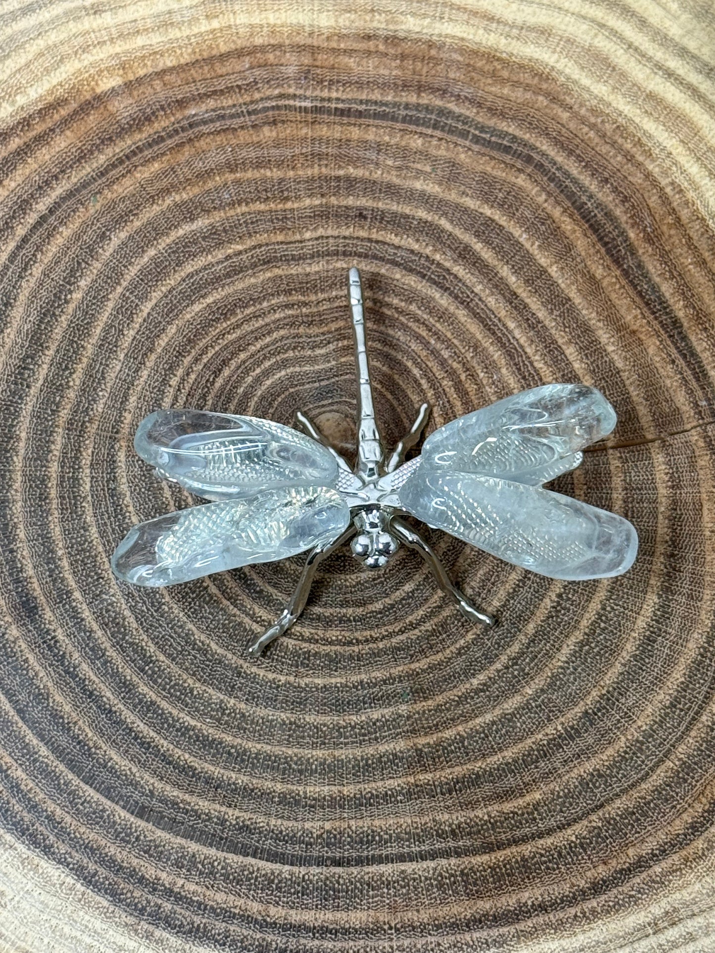 Dragonflies
