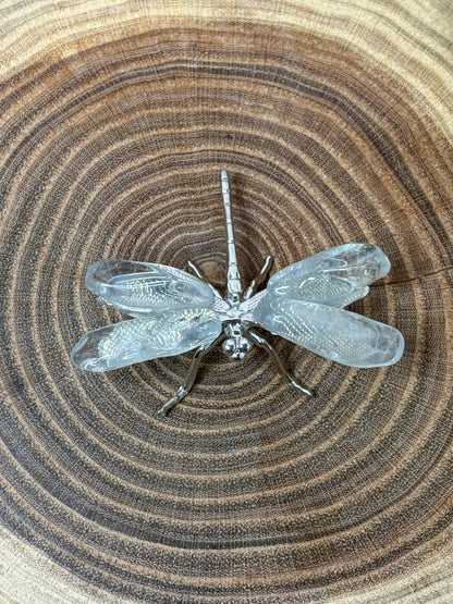 Dragonflies