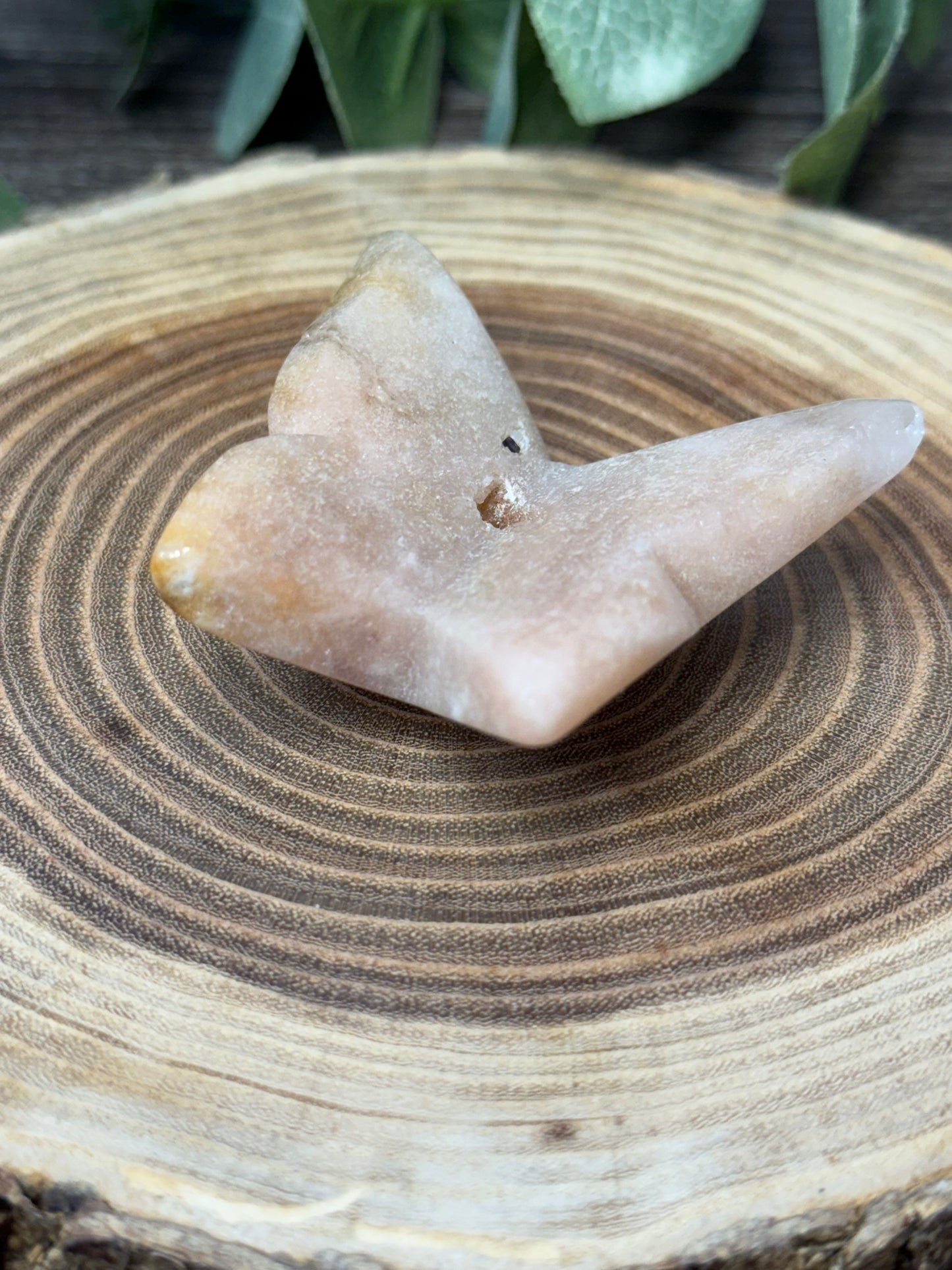 Butterfly Carvings