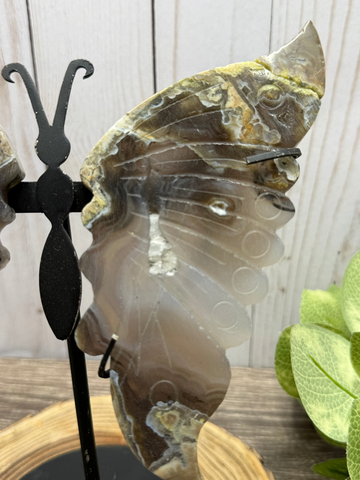 Large Butterfly Wings on Stand - Lava Agate