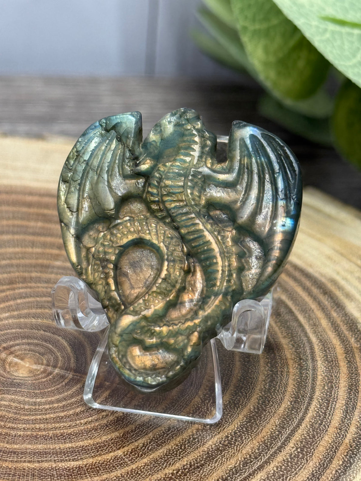Labradorite Carved Dragons