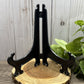 Display Stands