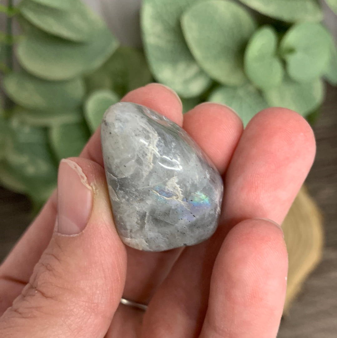 Labradorite Tumbles