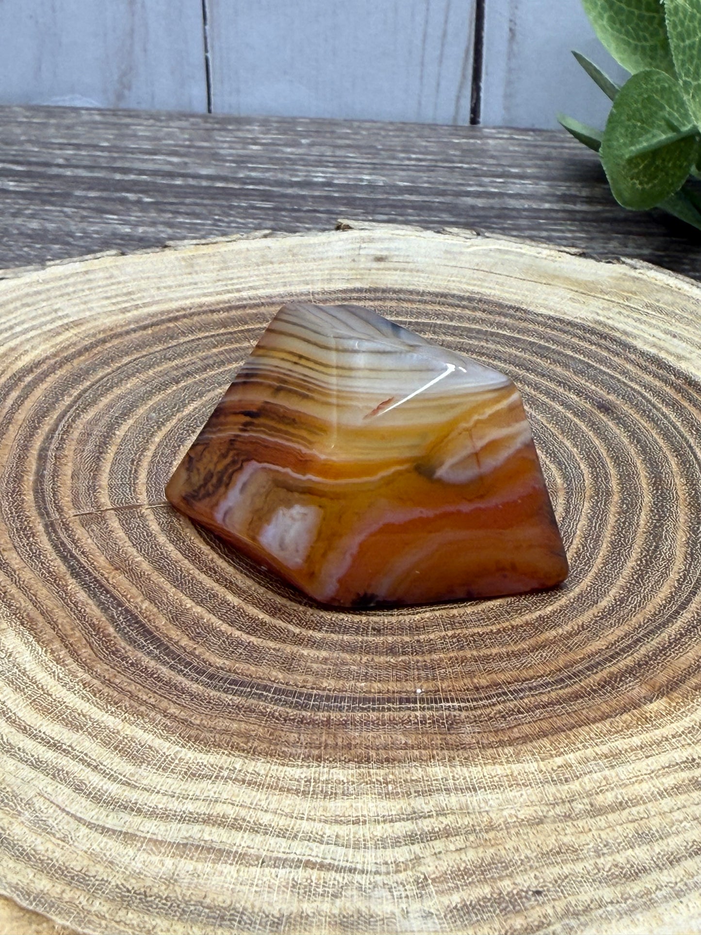 Saradonyx Freeforms