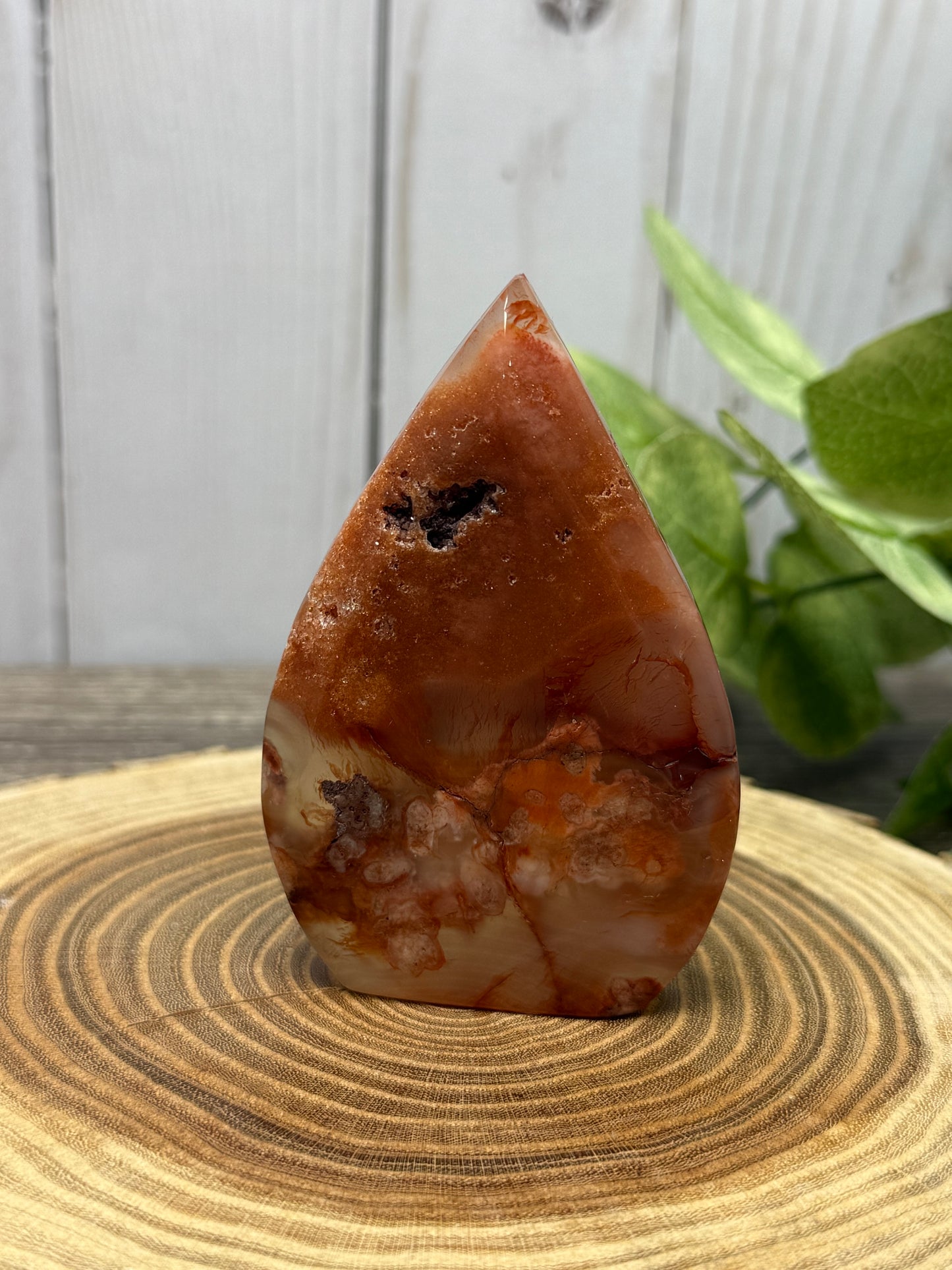 Carnelian and Flower Agate Freeforms