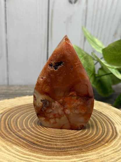 Carnelian and Flower Agate Freeforms