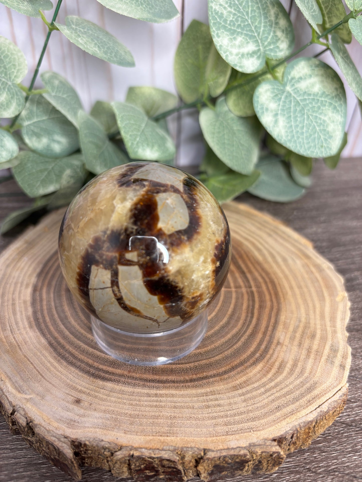 Septarian Spheres