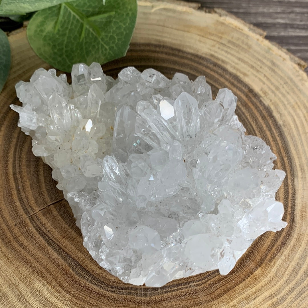 Chrysanthemum Quartz - Cluster