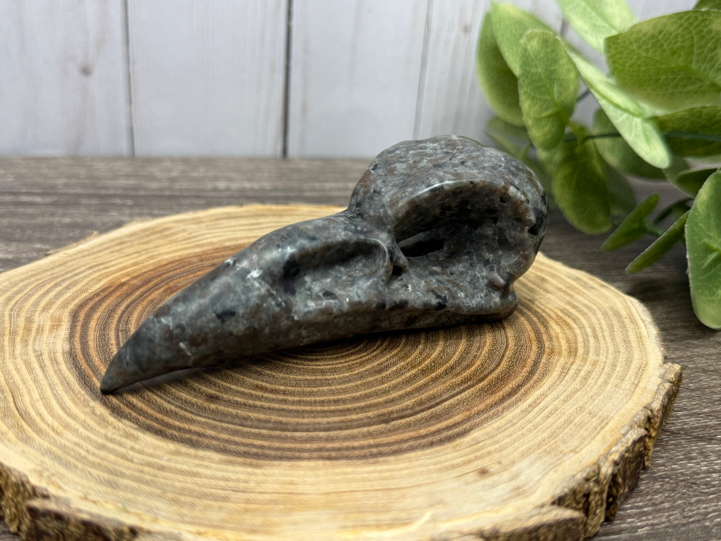 Obsidian & Yooperlite Bird Skulls/Head Carvings