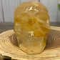 Large Golden Healer Skull
