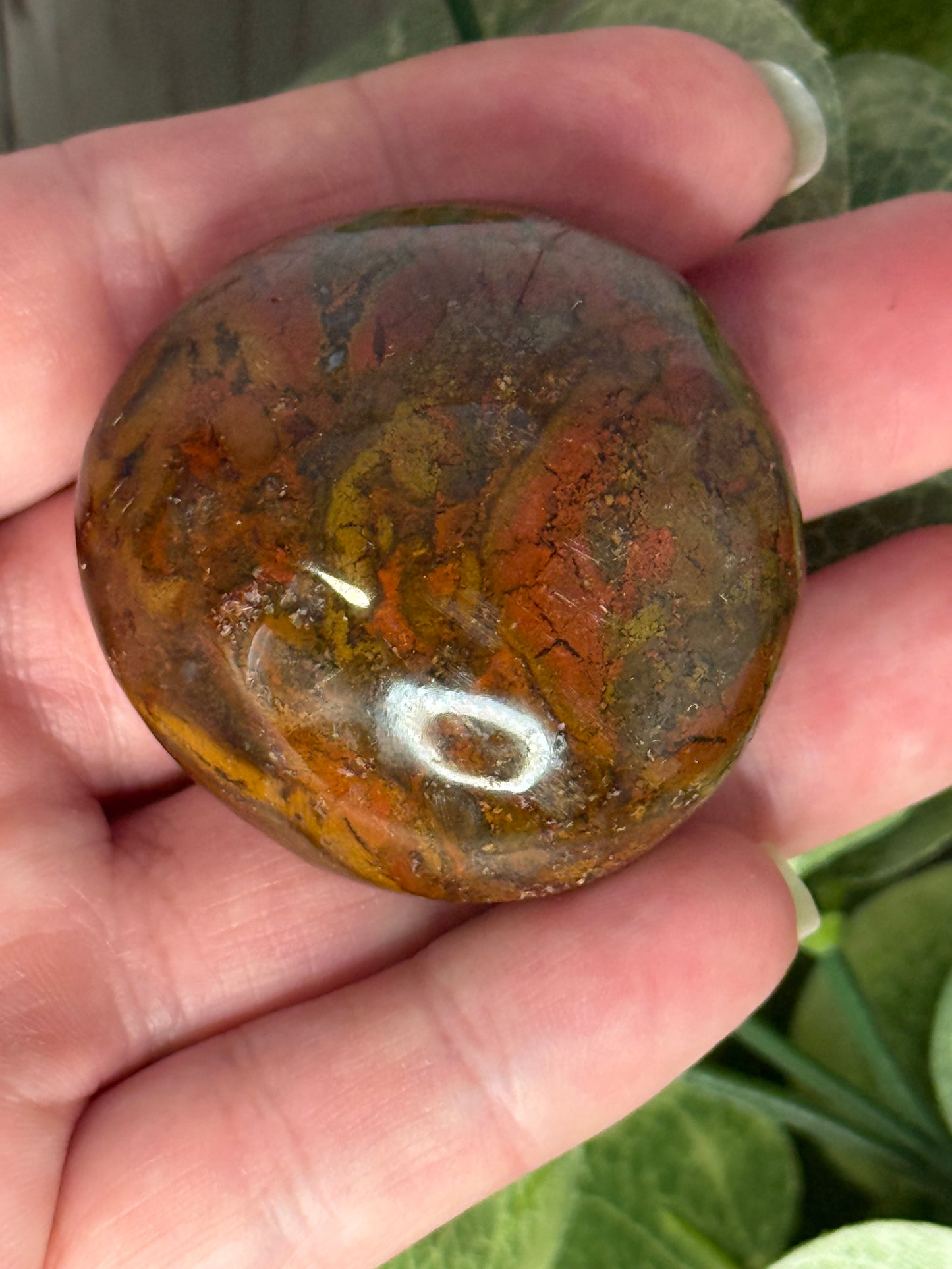 Ocean Jasper Palm Stones