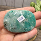 Phoenix Stone Palm Stones
