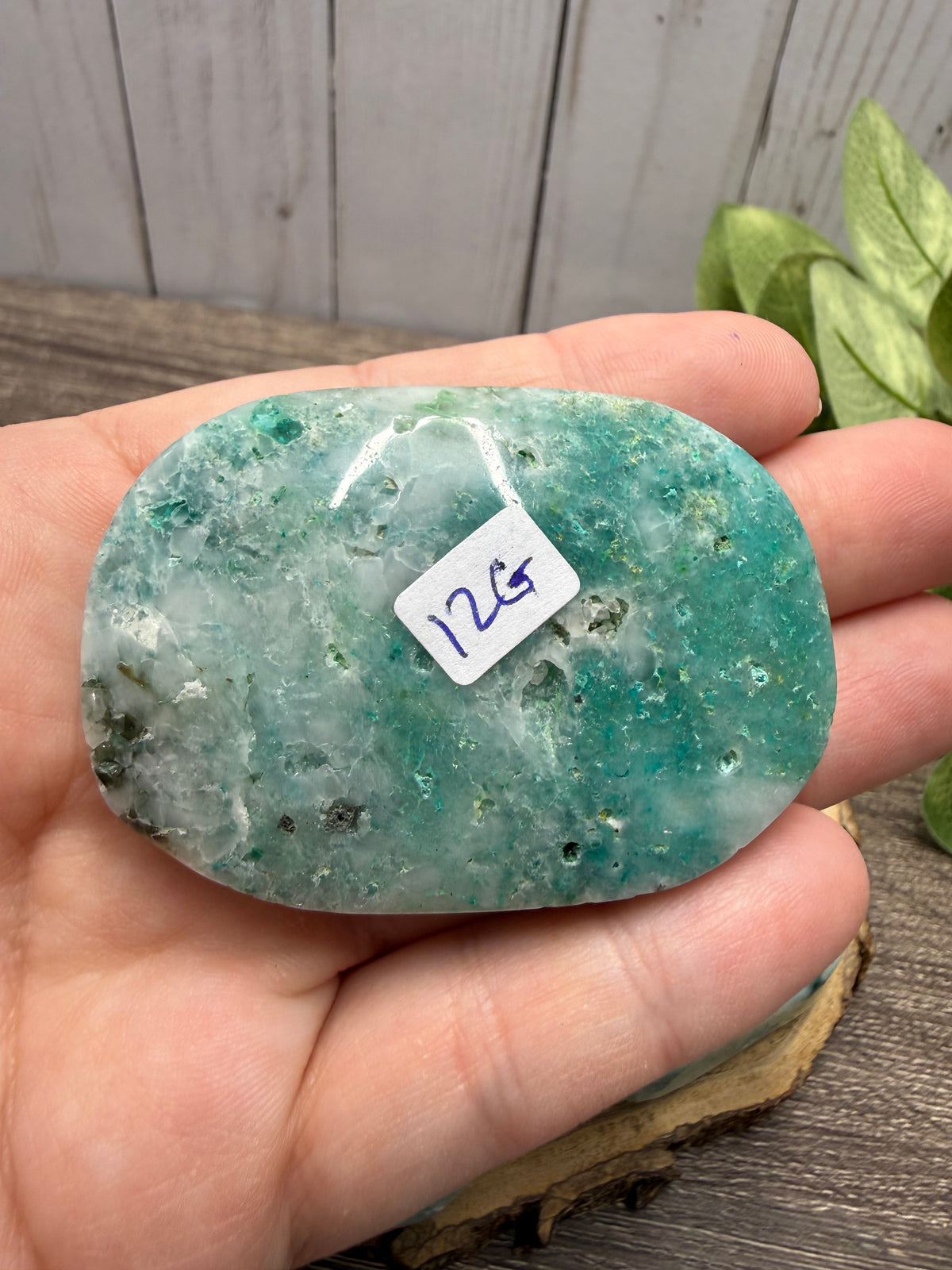 Phoenix Stone Palm Stones