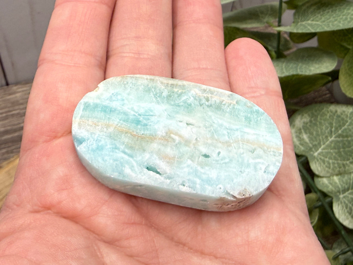 Caribbean Calcite Palm Stones