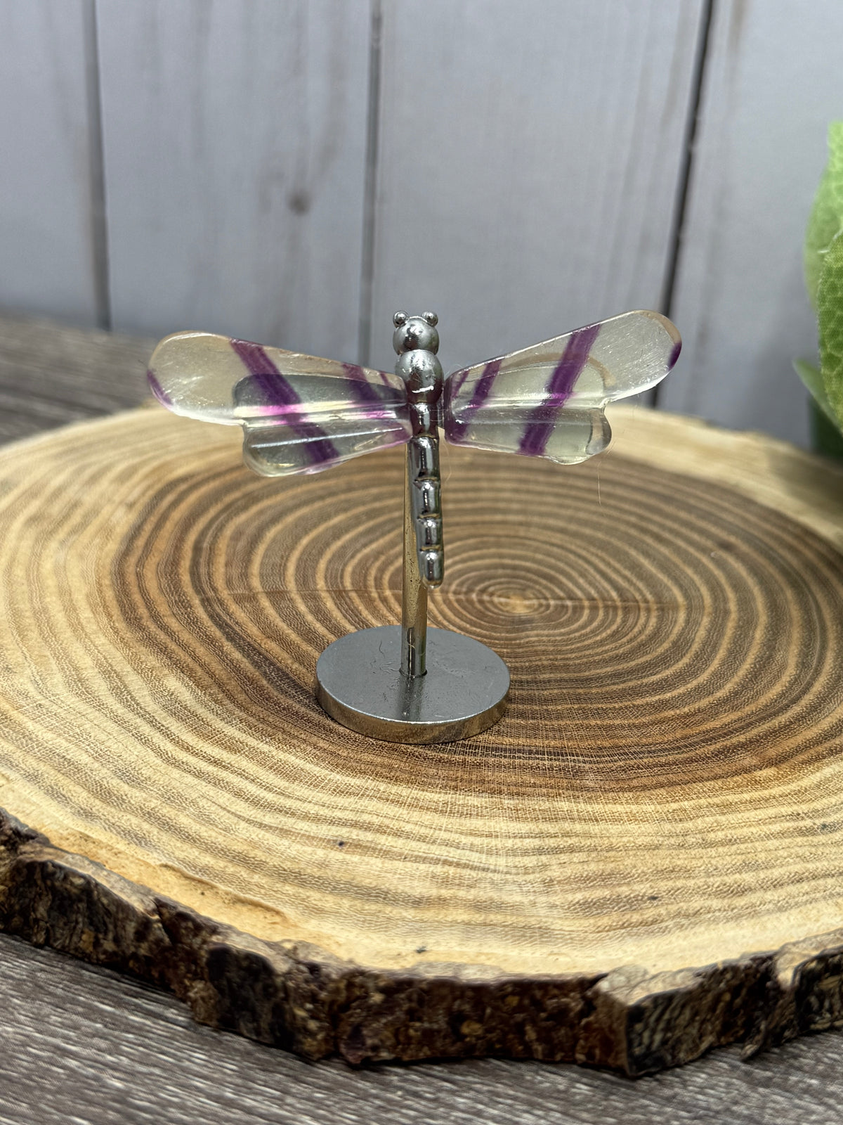 Small Dragonfly Wings on Stand - Fluorite