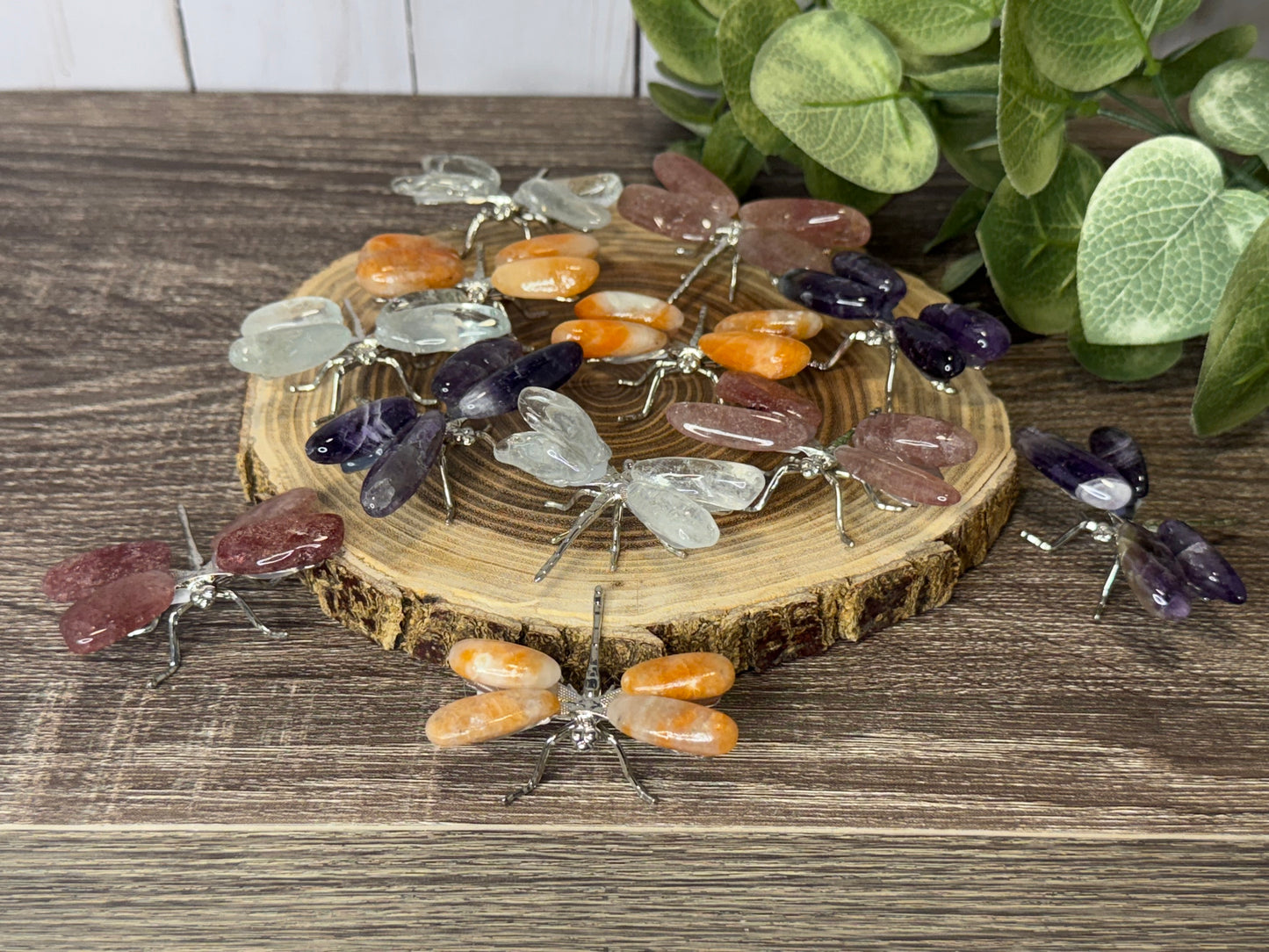 Dragonflies