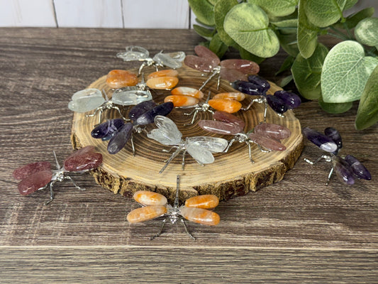 Dragonflies
