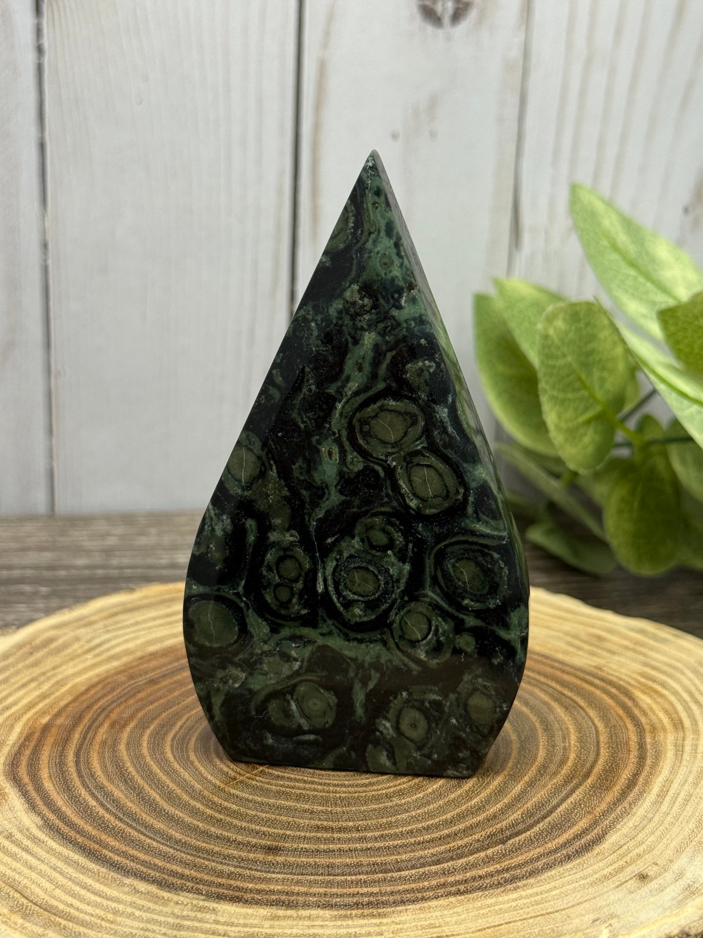 Kambaba Jasper Freeforms