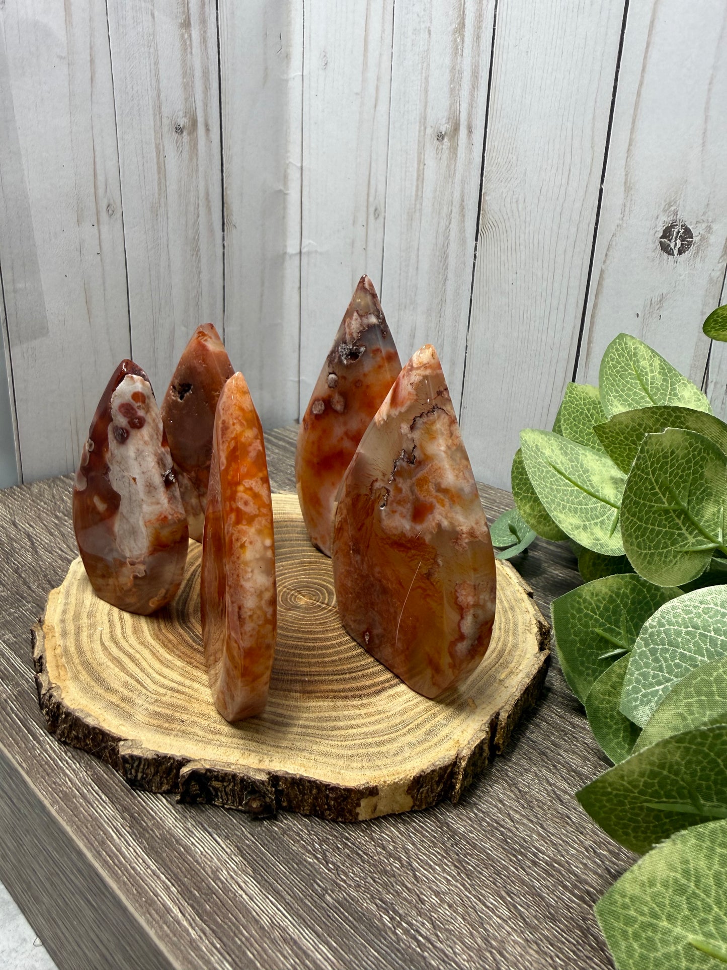 Carnelian and Flower Agate Freeforms