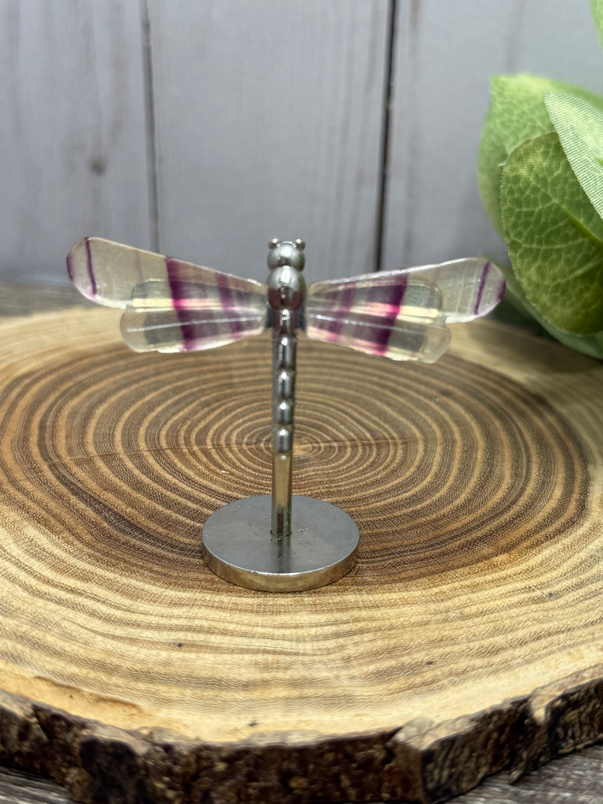 Small Dragonfly Wings on Stand - Fluorite