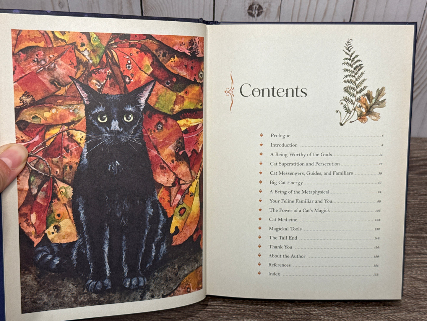 Cat Magick: Harness the Powers of Felines through History, Behaviors, and Familiars