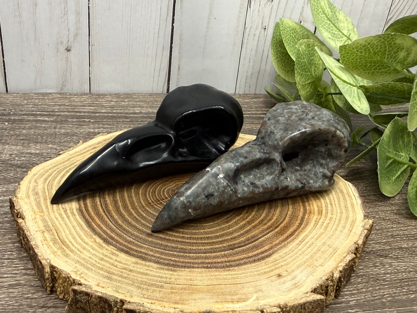 Obsidian & Yooperlite Bird Skulls/Head Carvings