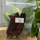 Chili Pepper - Magick Herbs (Bagged)