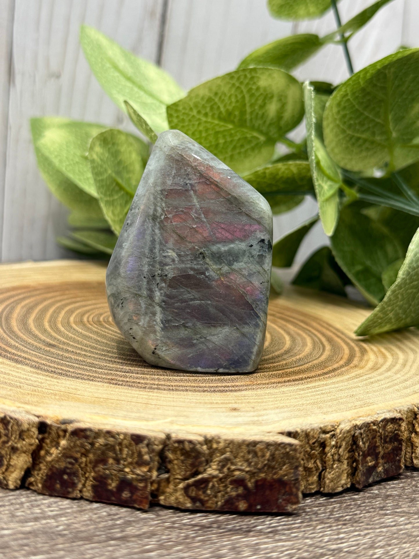 Labradorite Freeforms