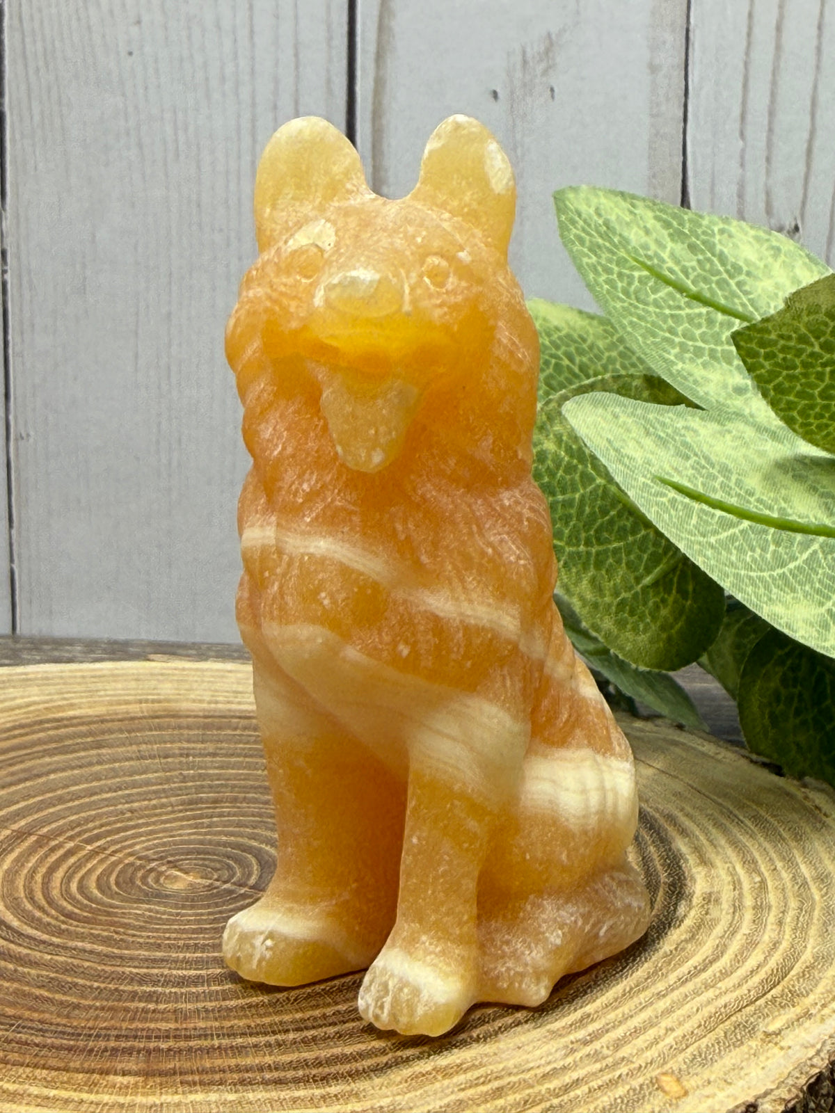 Wolf/Dog Carvings