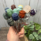 Roses on Stem