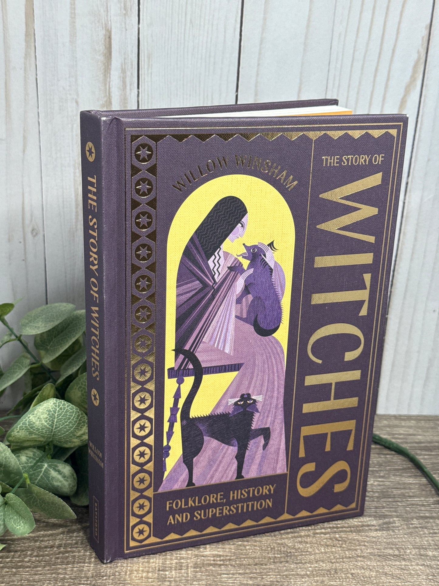 The Story of Witches: Folklore, History, and Superstition