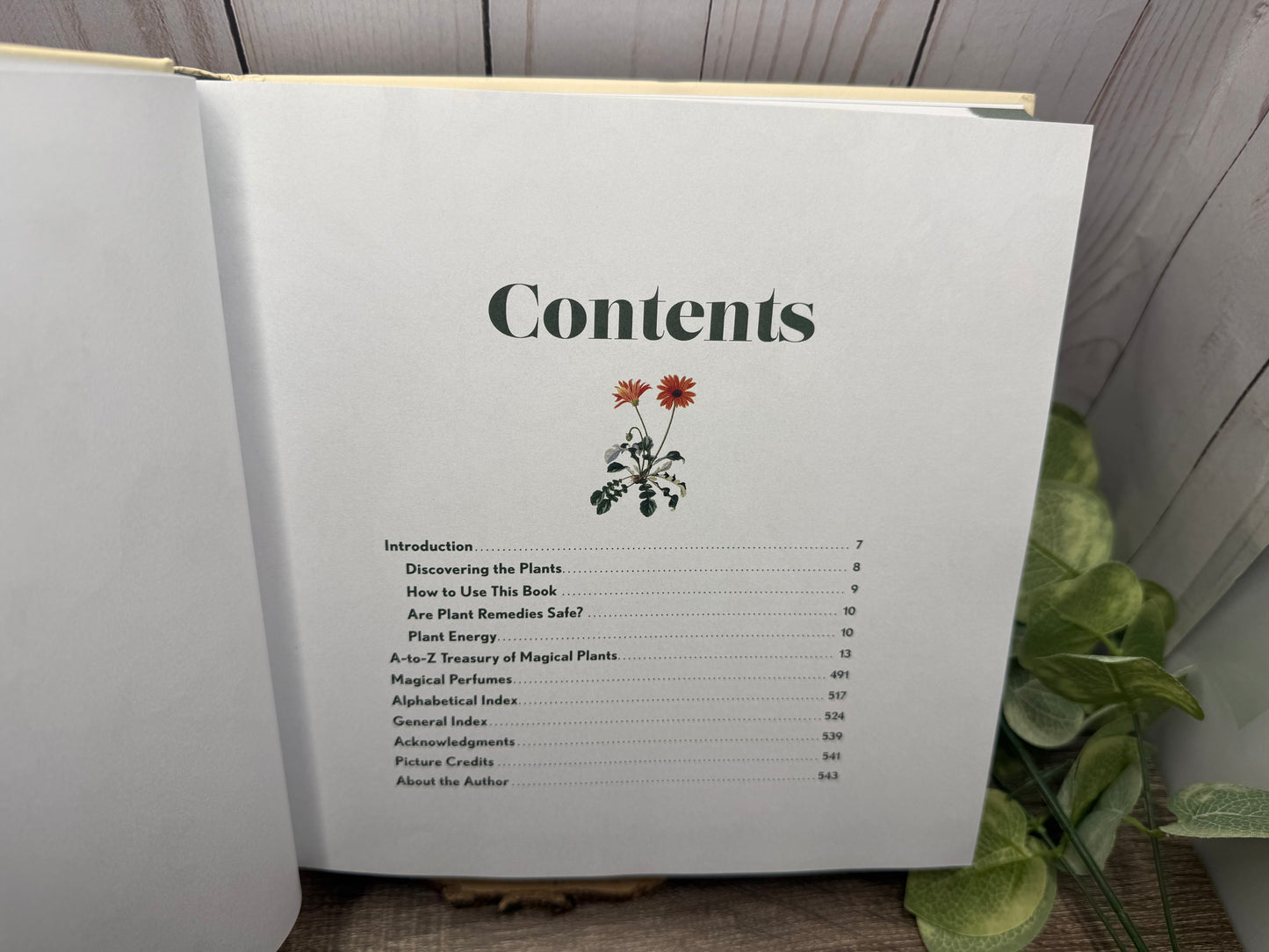 1001 Magical Plants: The Complete Book of Botanicals for Every Purpose