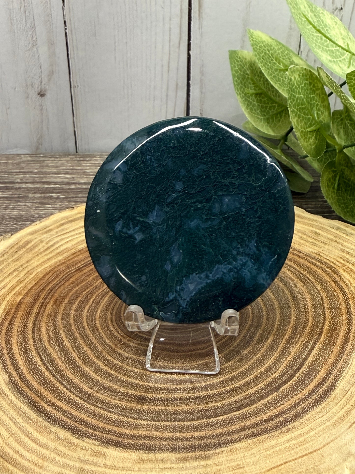 Moss Agate Small Disks