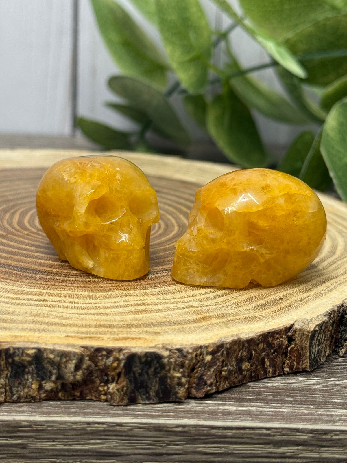 Skull Carvings - small