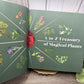 1001 Magical Plants: The Complete Book of Botanicals for Every Purpose