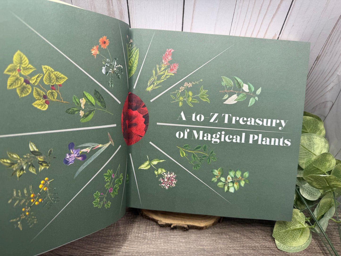 1001 Magical Plants: The Complete Book of Botanicals for Every Purpose