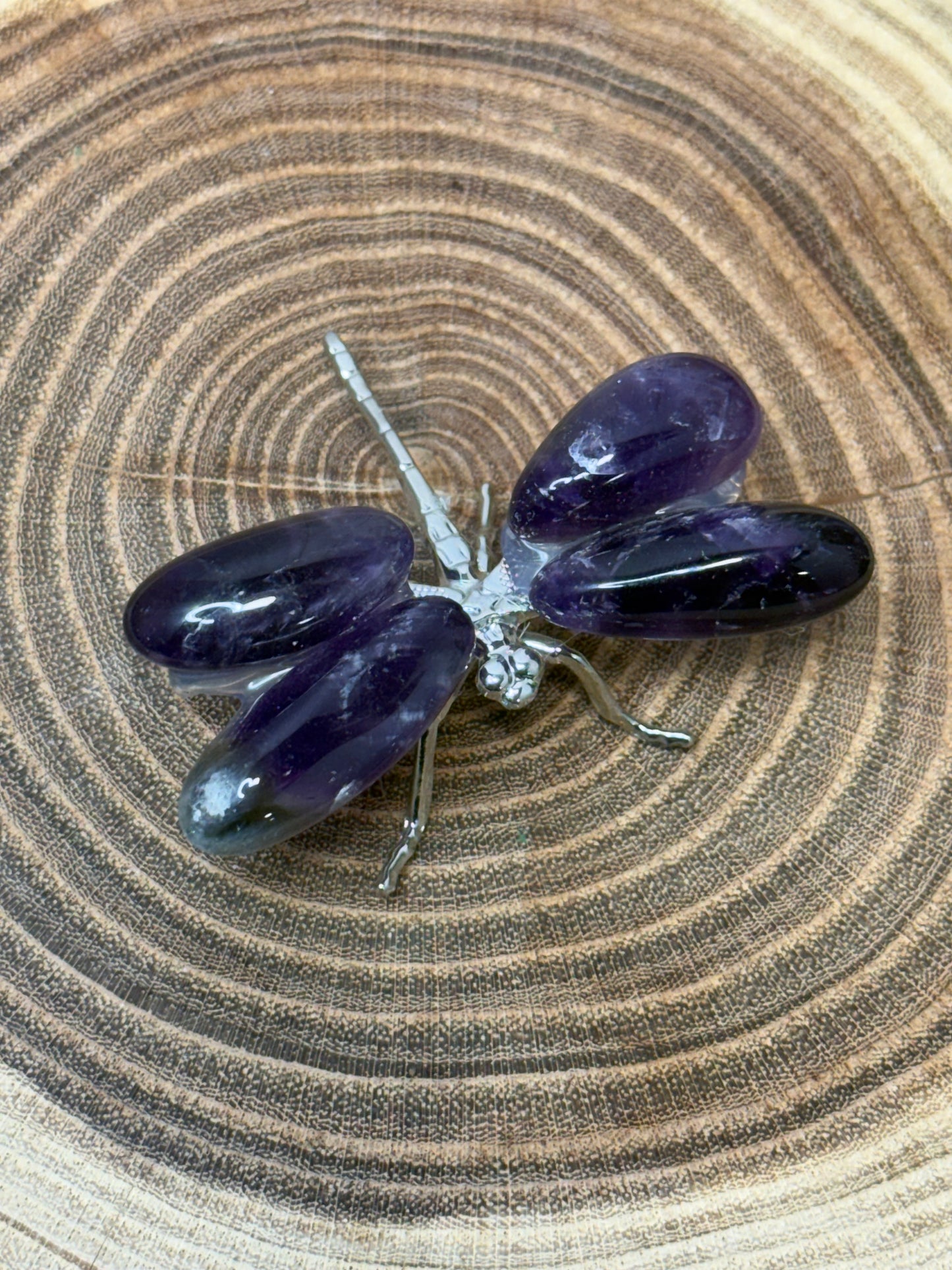 Dragonflies