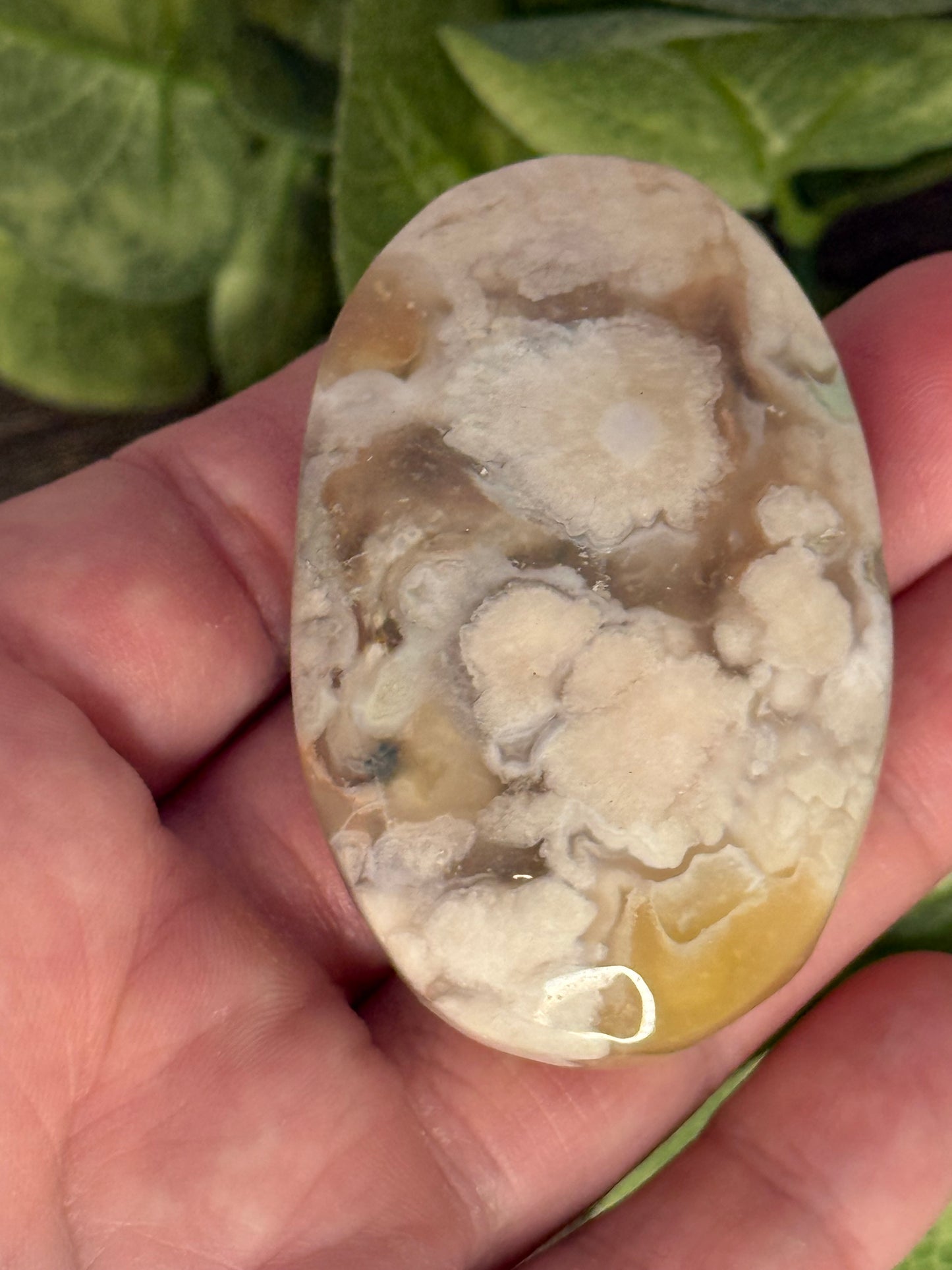 Flower Agate Palm Stones