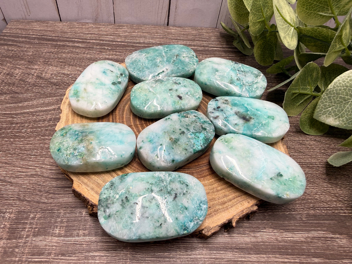Phoenix Stone Palm Stones