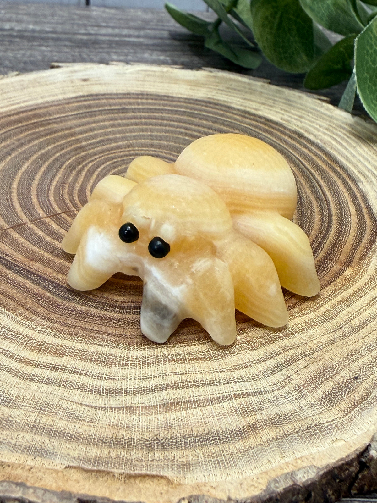 Spider Carving