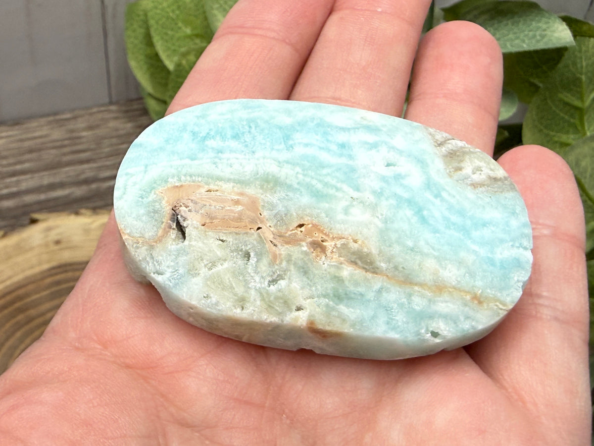 Caribbean Calcite Palm Stones