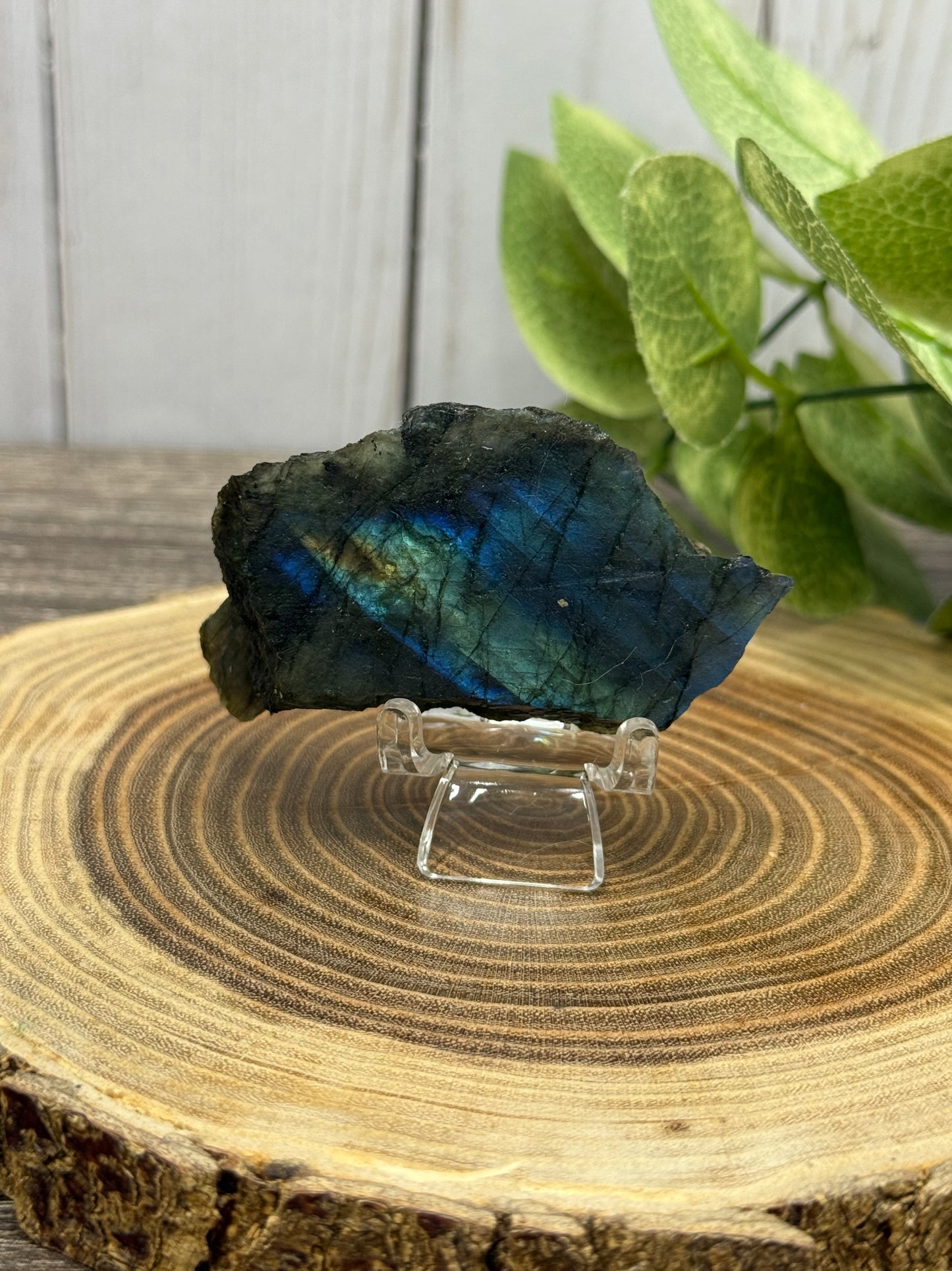 Labradorite Raw Pieces