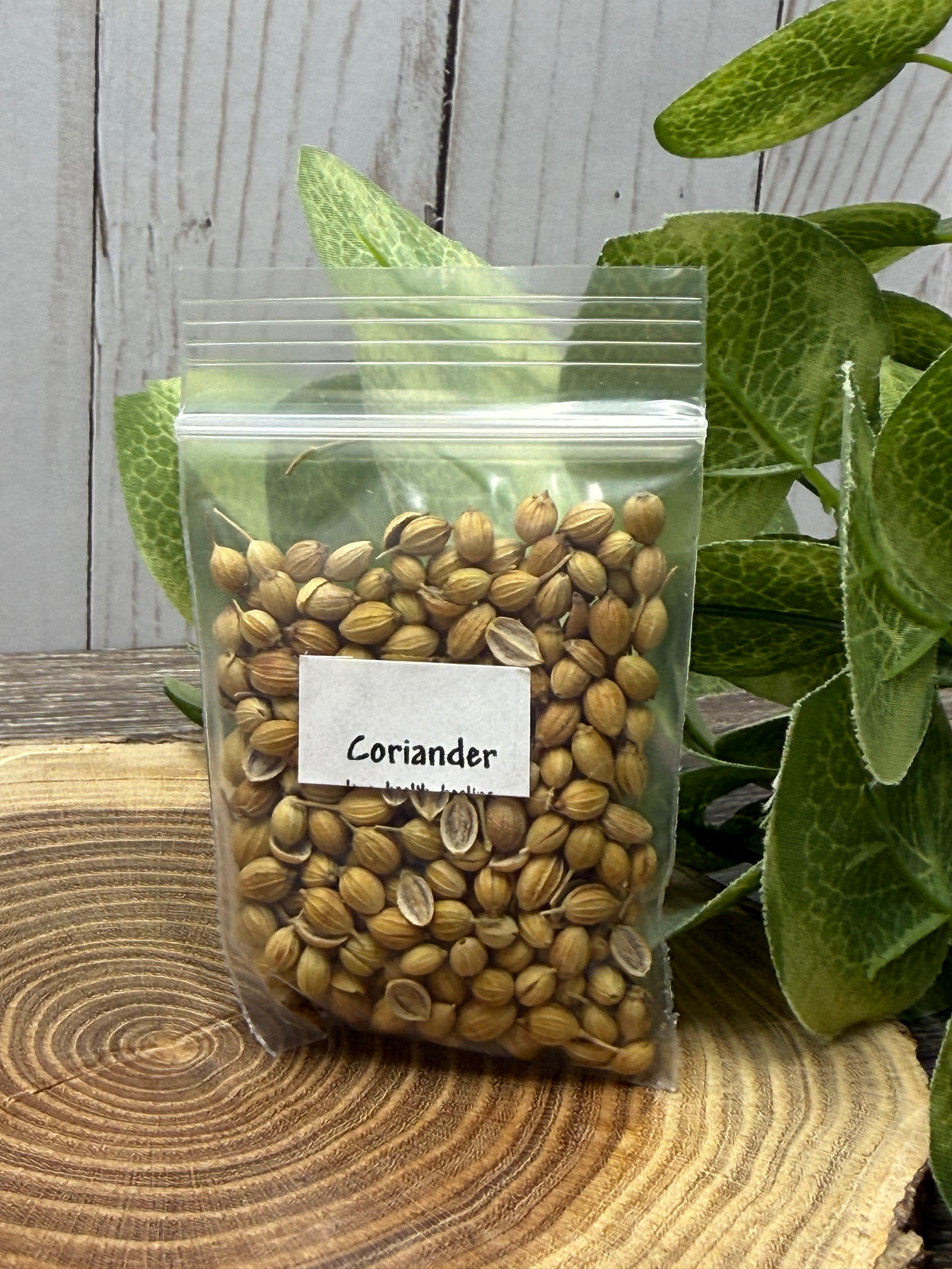 Coriander, whole - Magick Herbs (Bagged)