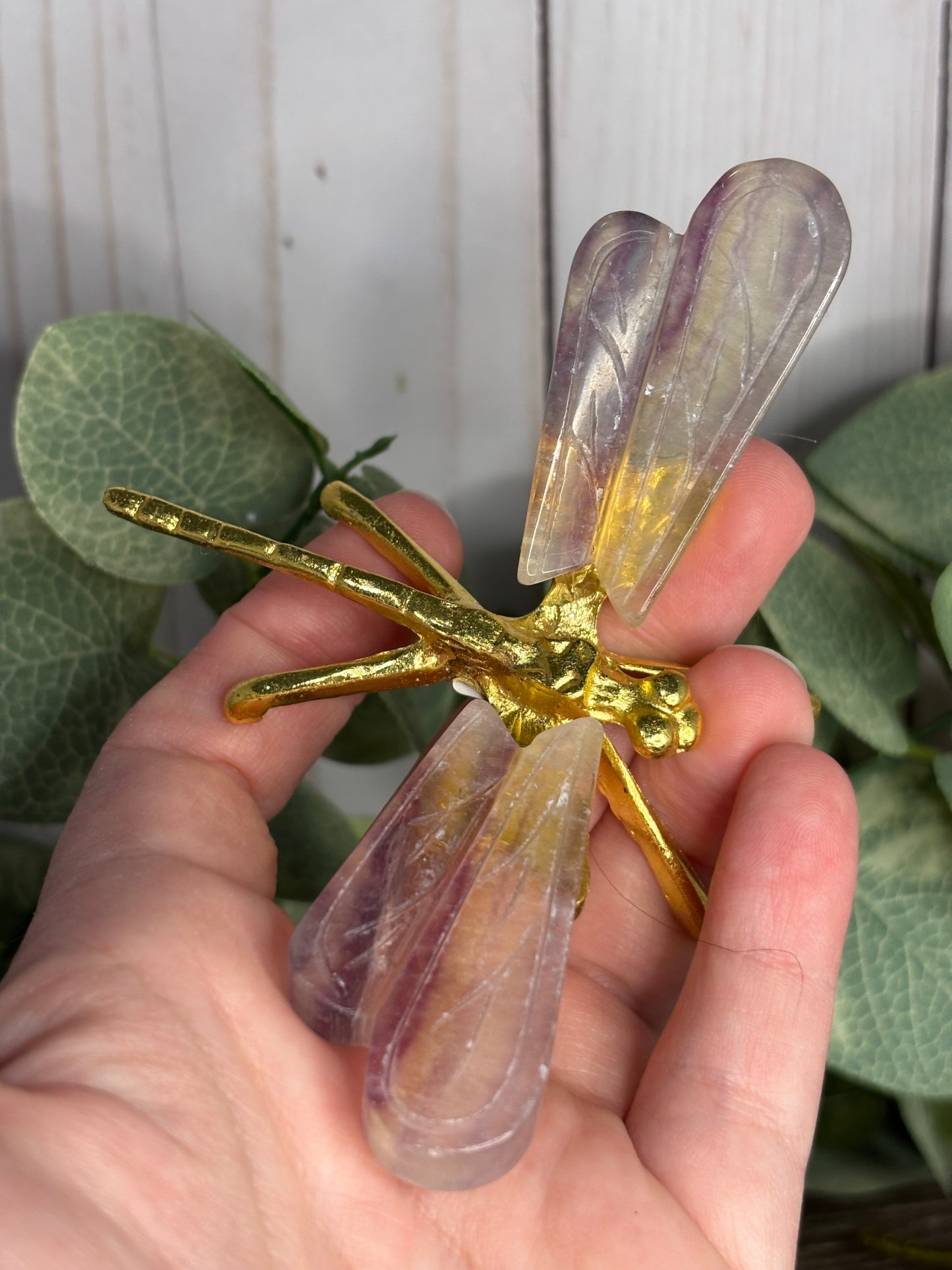 Dragonfly Carving