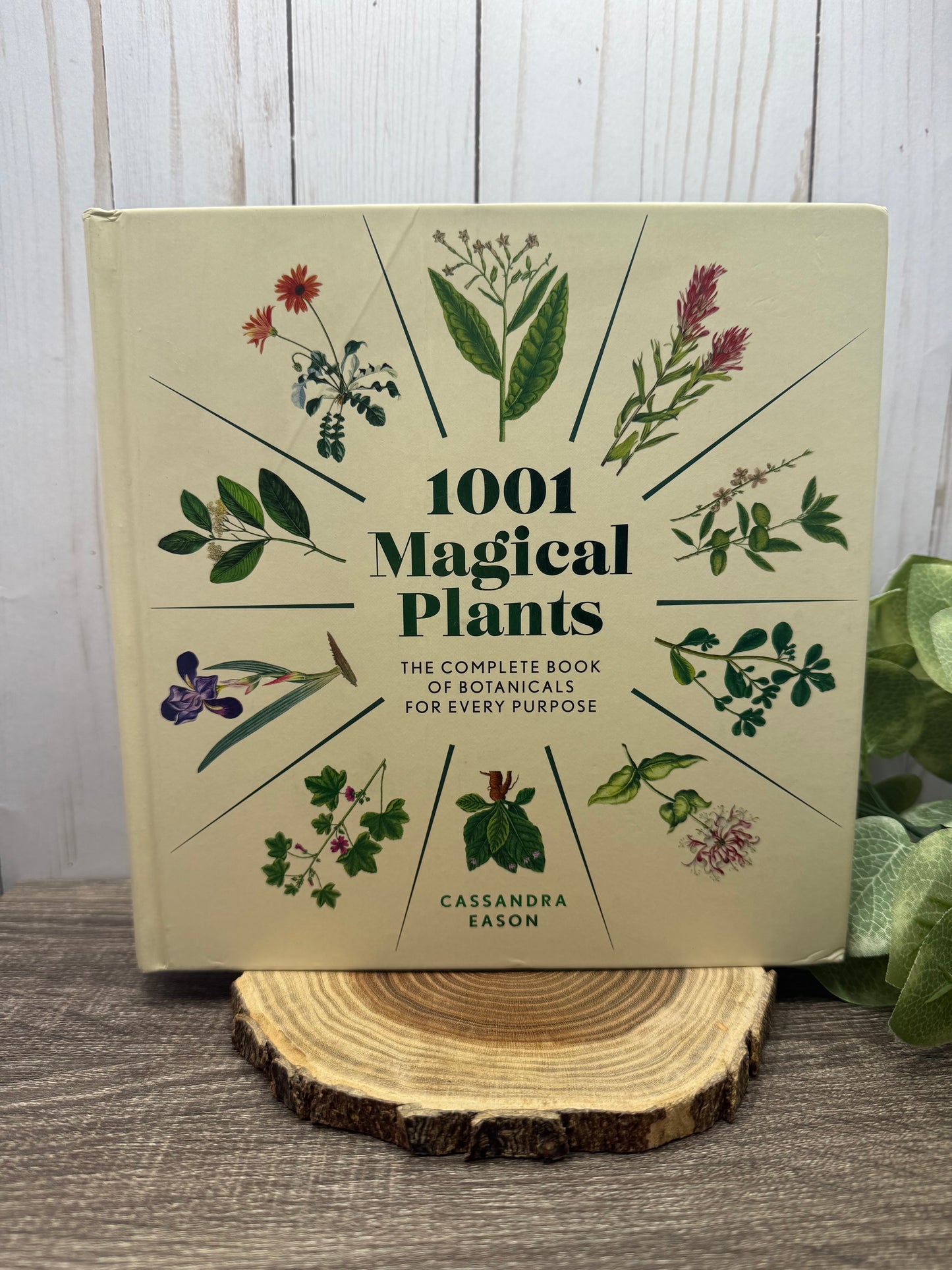 1001 Magical Plants: The Complete Book of Botanicals for Every Purpose
