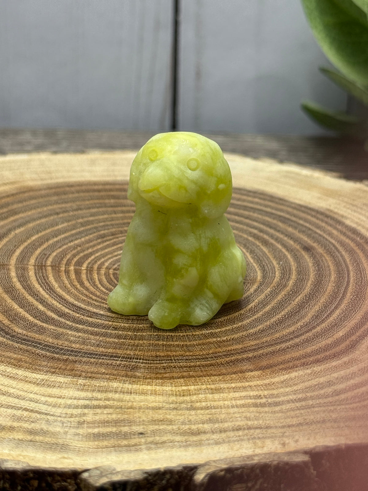 Dog Carvings