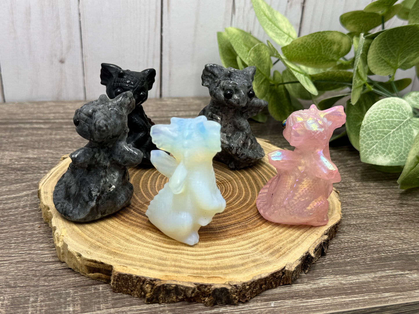 Baby Dragon - Small