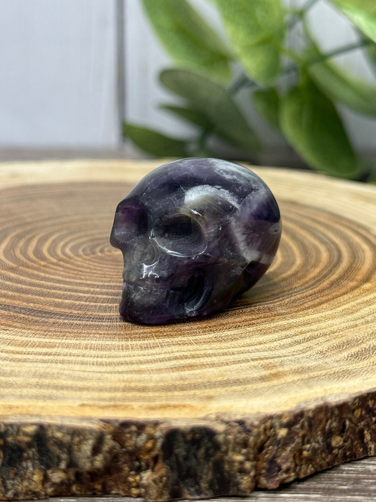 Skull Carvings - small
