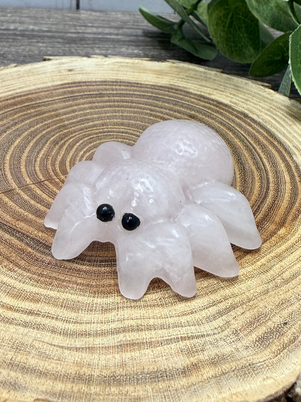 Spider Carving
